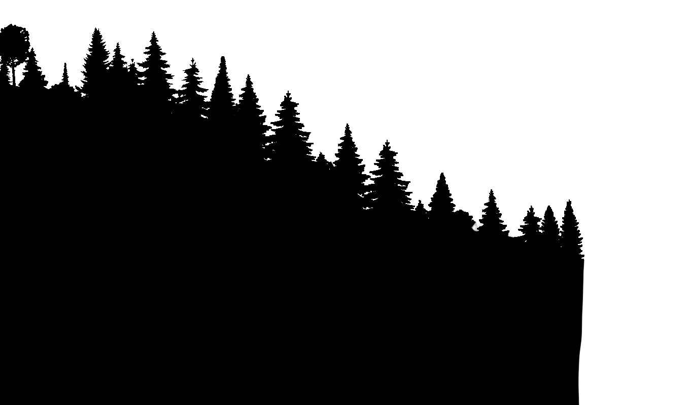 Schwarzwald1