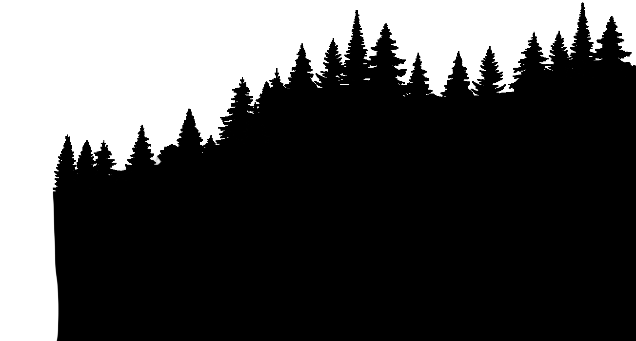 Schwarzwald2