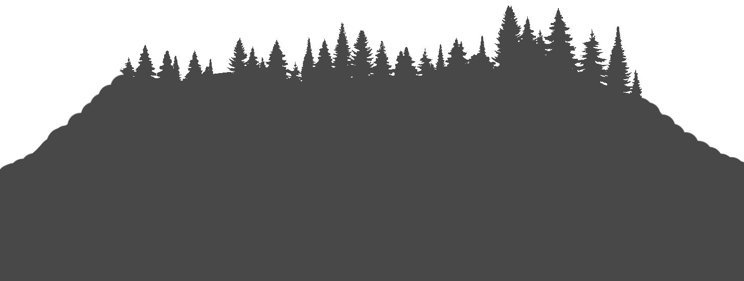 Schwarzwald3