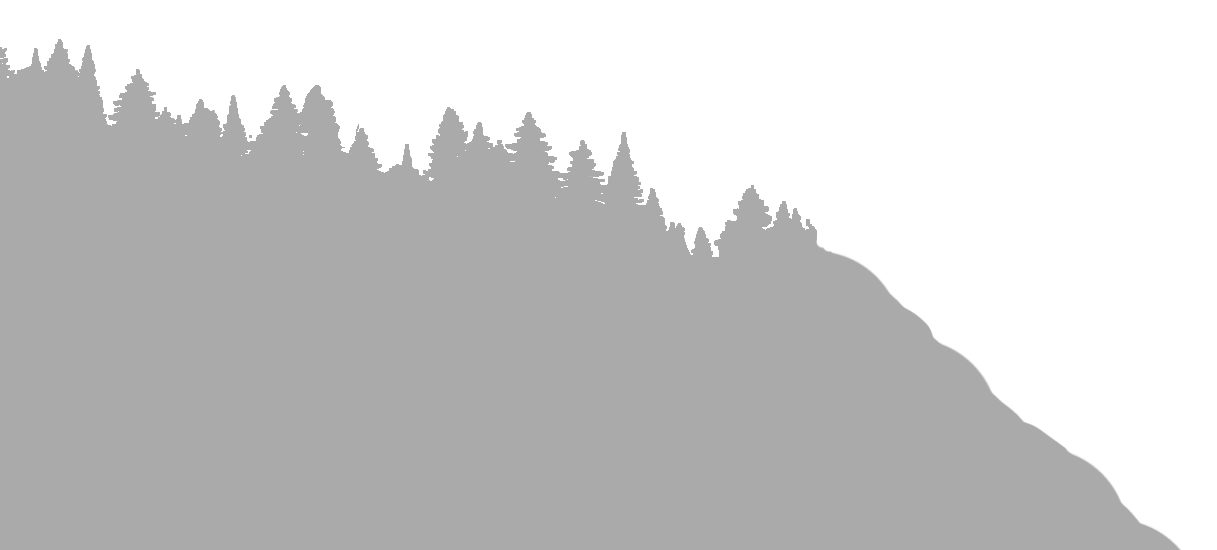 Schwarzwald5